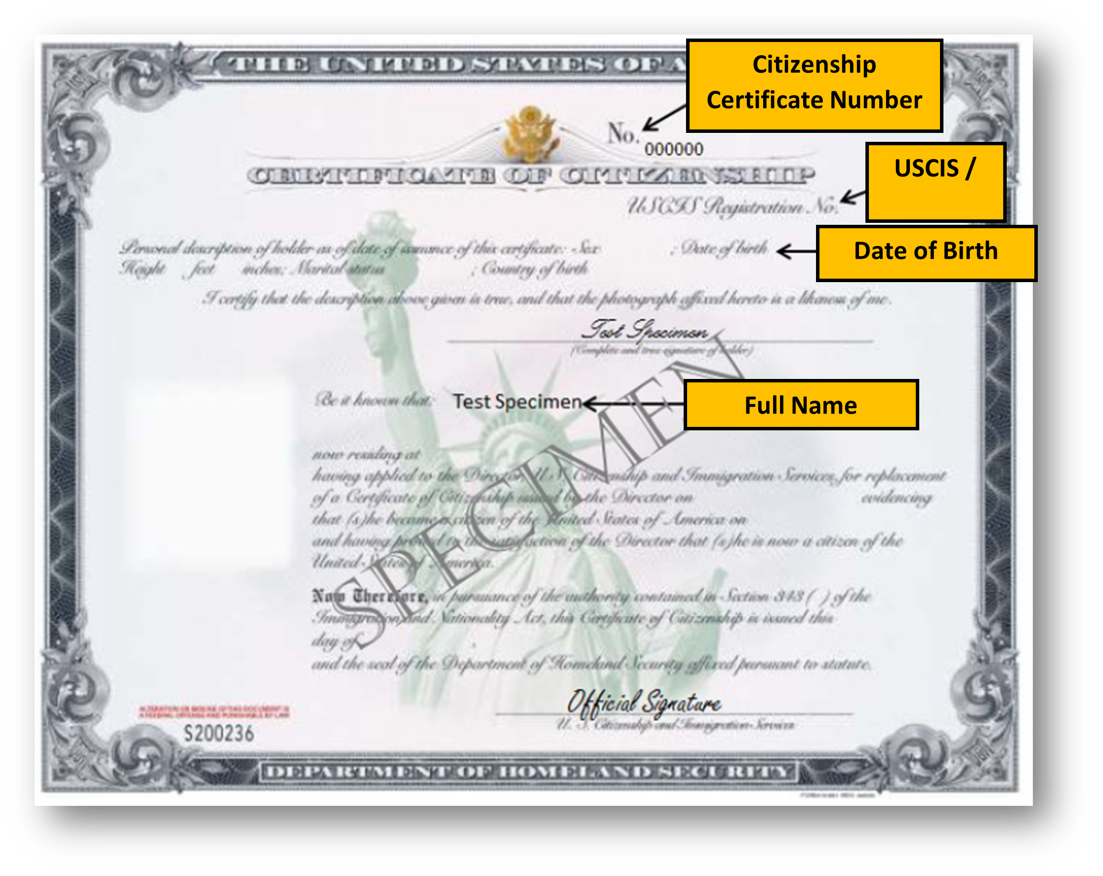 N-561 Current Version