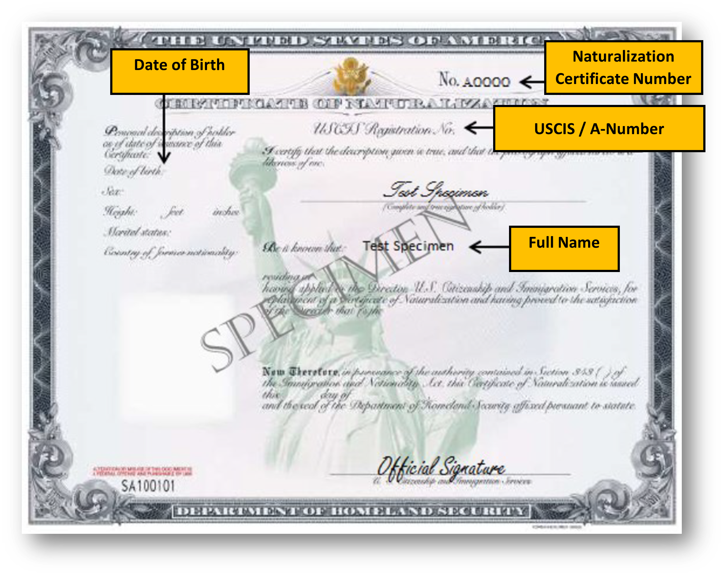N-570 Current Version
